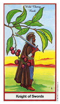 ҩ - Herbal Tarot - ʿ - Knight Of Swords