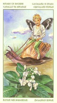 ֮ - The Spirit Of Flowers Tarot - ʿ - Knight Of Swords