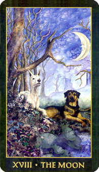 䴫˵ - Folklore Tarot -  - The Moon