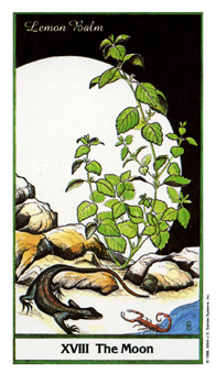 ҩ - Herbal Tarot -  - The Moon