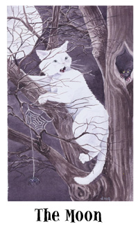 è - Cats Eye Tarot -  - The Moon