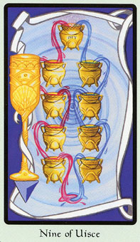  - Faery Wicca Tarot - ʥ - Nine Of Cups