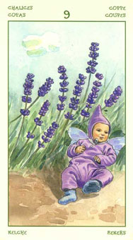 ֮ - The Spirit Of Flowers Tarot - ʥ - Nine Of Cups