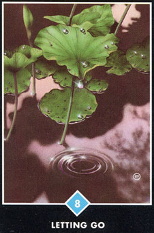  - Osho Zen Tarot - ʥ - Nine Of Cups