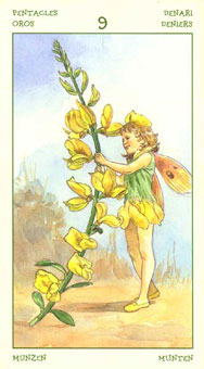 ֮ - The Spirit Of Flowers Tarot - ǮҾ - Nine Of Pentacles