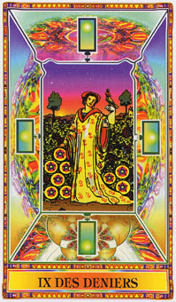 ʯΰ - Diamond Tarot - ǮҾ - Nine Of Pentacles