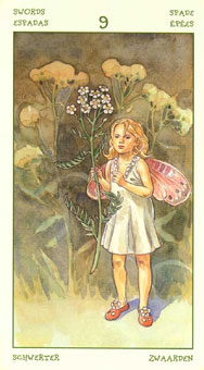 ֮ - The Spirit Of Flowers Tarot -  - Nine Of Swords