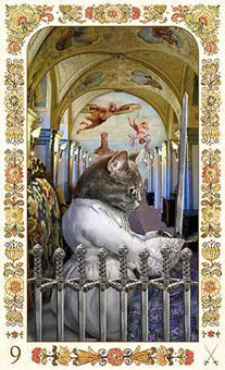 ˲è - Baroque Bohemian Cats Tarot -  - Nine Of Swords