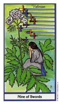 ҩ - Herbal Tarot -  - Nine Of Swords