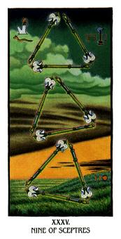  - Ibis Tarot - ȨȾ - Nine Of Wands