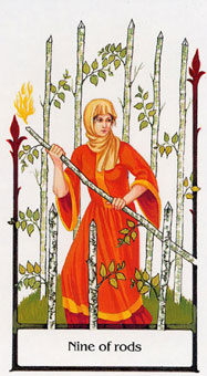 ž - Tarot Of The Old Path - ȨȾ - Nine Of Wands