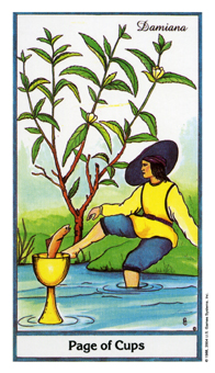 ҩ - Herbal Tarot - ʥ̴ - Page Of Cups