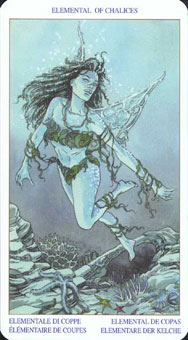 ͽ - Pagan Tarot - ʥ̴ - Page Of Cups