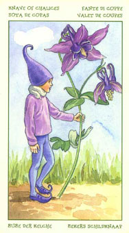 ֮ - The Spirit Of Flowers Tarot - ʥ̴ - Page Of Cups