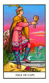 ŵ - Connolly Tarot - ʥ̴ - Page Of Cups