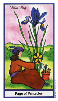 ҩ - Herbal Tarot - Ǯ̴ - Page Of Pentacles