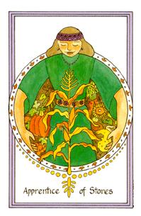 Ůҽ - Medicine Woman Tarot - Ǯ̴ - Page Of Pentacles