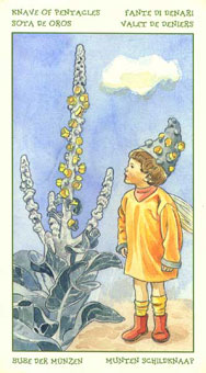 ֮ - The Spirit Of Flowers Tarot - Ǯ̴ - Page Of Pentacles