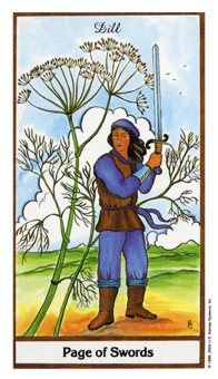 ҩ - Herbal Tarot - ̴ - Page Of Swords