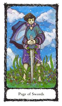 ʥõ - Sacred Rose Tarot - ̴ - Page Of Swords