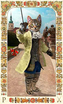 ˲è - Baroque Bohemian Cats Tarot - ̴ - Page Of Swords