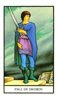 ŵ - Connolly Tarot - ̴ - Page Of Swords