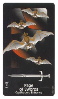 ѻħ - Crows Magick Tarot - ̴ - Page Of Swords