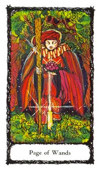 ʥõ - Sacred Rose Tarot - Ȩ̴ - Page Of Wands