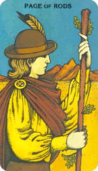 Ħ - Morgan-Greer Tarot - Ȩ̴ - Page Of Wands