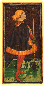 ˹ - Visconti Sforza Tarot - Ȩ̴ - Page Of Wands
