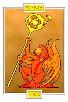  - Winged Spirit Tarot - Ȩ̴ - Page Of Wands