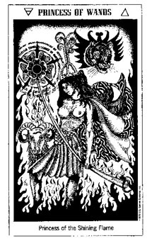 ʿ - The Hermetic Tarot - Ȩ̴ - Page Of Wands