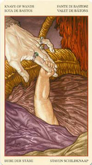 ɯ - Mona Lisa Tarot - Ȩ̴ - Page Of Wands