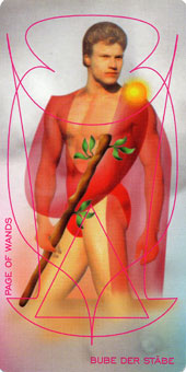 ǵﰲ - Adrian Tarot - Ȩ̴ - Page Of Wands