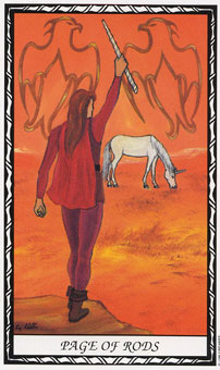  - Unicorn Tarot - Ȩ̴ - Page Of Wands