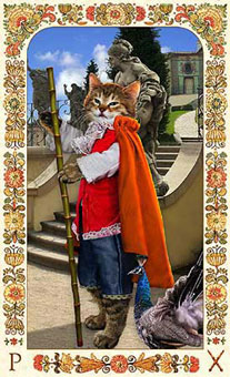 ˲è - Baroque Bohemian Cats Tarot - Ȩ̴ - Page Of Wands