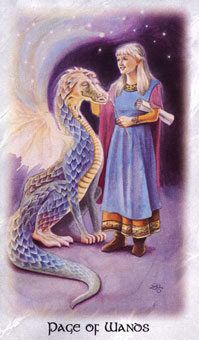  - The Celtic Dragon Tarot - Ȩ̴ - Page Of Wands