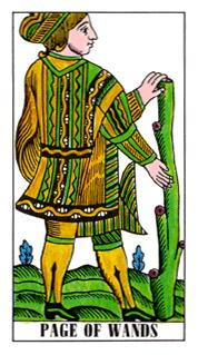  - Classic Tarot - Ȩ̴ - Page Of Wands