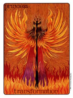  - Gill Tarot - Ȩ̴ - Page Of Wands