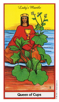 ҩ - Herbal Tarot - ʥ - Queen Of Cups