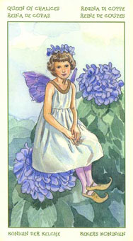 ֮ - The Spirit Of Flowers Tarot - ʥ - Queen Of Cups