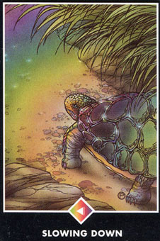  - Osho Zen Tarot - Ǯ - Queen Of Pentacles