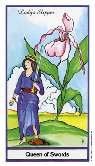 ҩ - Herbal Tarot -  - Queen Of Swords