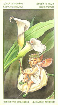 ֮ - The Spirit Of Flowers Tarot -  - Queen Of Swords