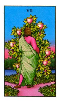 ŵ - Connolly Tarot - ʥ - Seven Of Cups