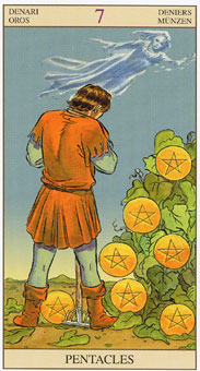 ӽΰ - Tarot of the New Vision - Ǯ - Seven Of Pentacles