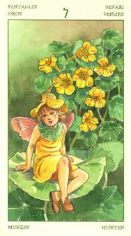 ֮ - The Spirit Of Flowers Tarot - Ǯ - Seven Of Pentacles