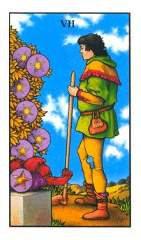 ŵ - Connolly Tarot - Ǯ - Seven Of Pentacles