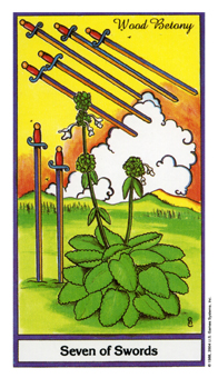 ҩ - Herbal Tarot -  - Seven Of Swords