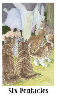 è - Cats Eye Tarot - Ǯ - Six Of Pentacles